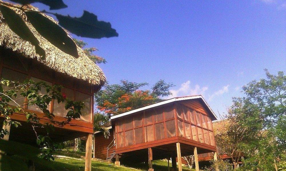 Cahal Pech Village Resort San Ignacio Olanaklar fotoğraf